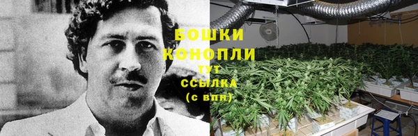 эйфоретик Белоозёрский