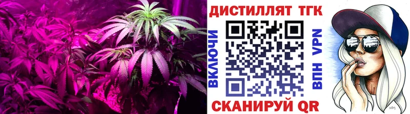 ТГК гашишное масло  дарк нет Telegram  Няндома 